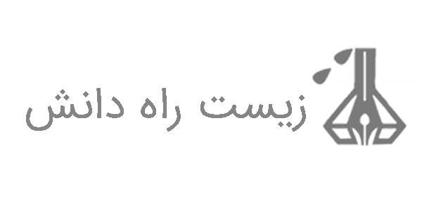 زیست راه دانش مشتری تایمومنت